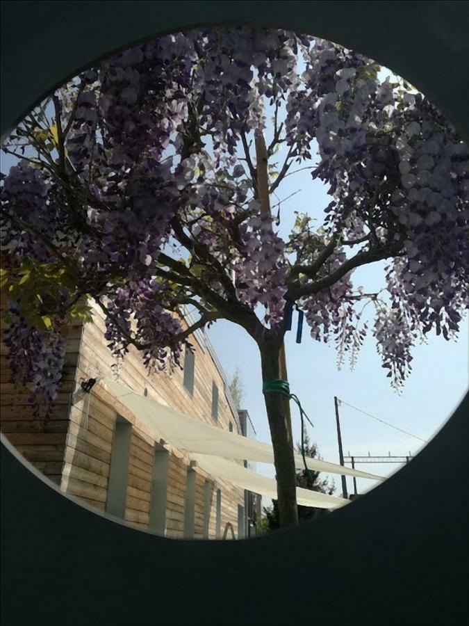 Via Dei Dori B&B Mirano Buitenkant foto